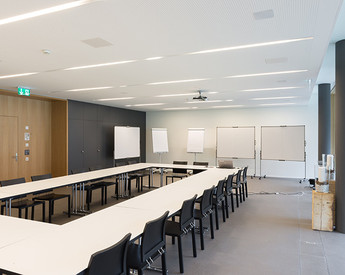 Eiche 3